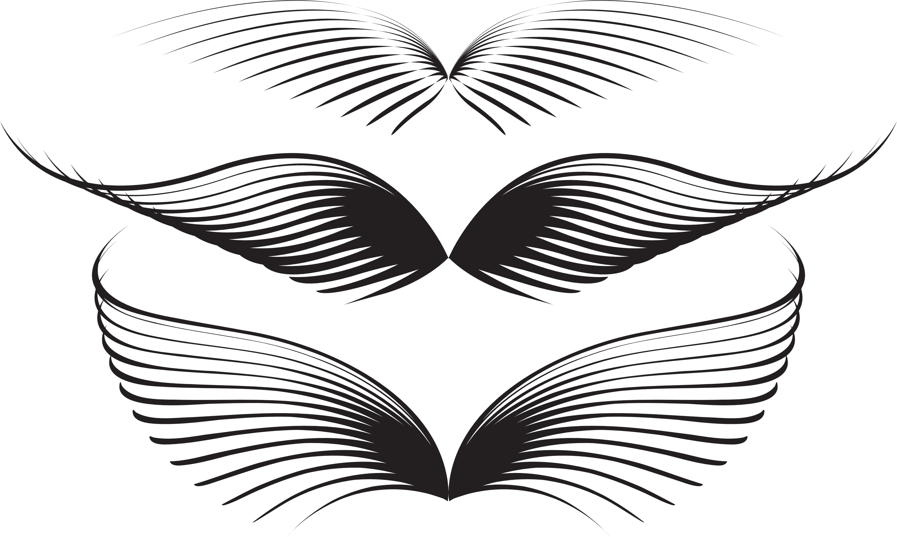 wing graphics vector