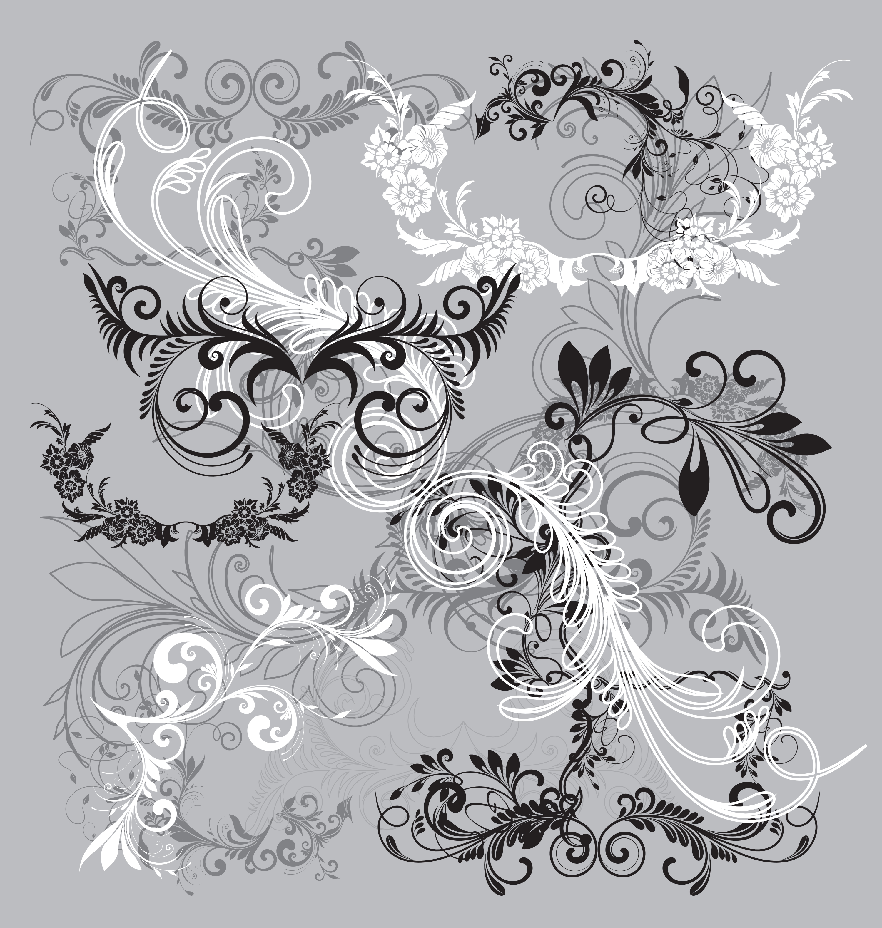 floral scrip filigrees vector