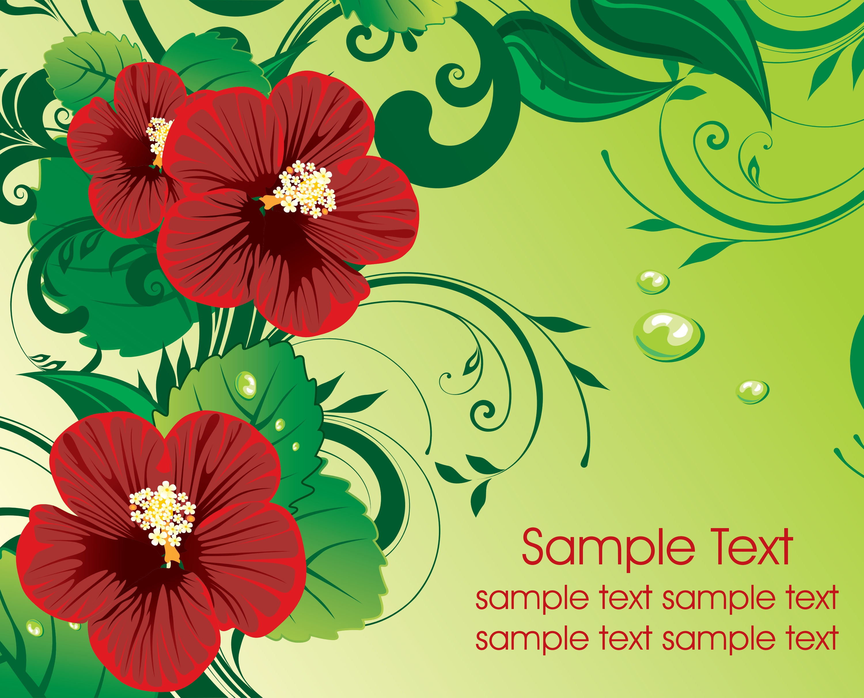 elegant template vector