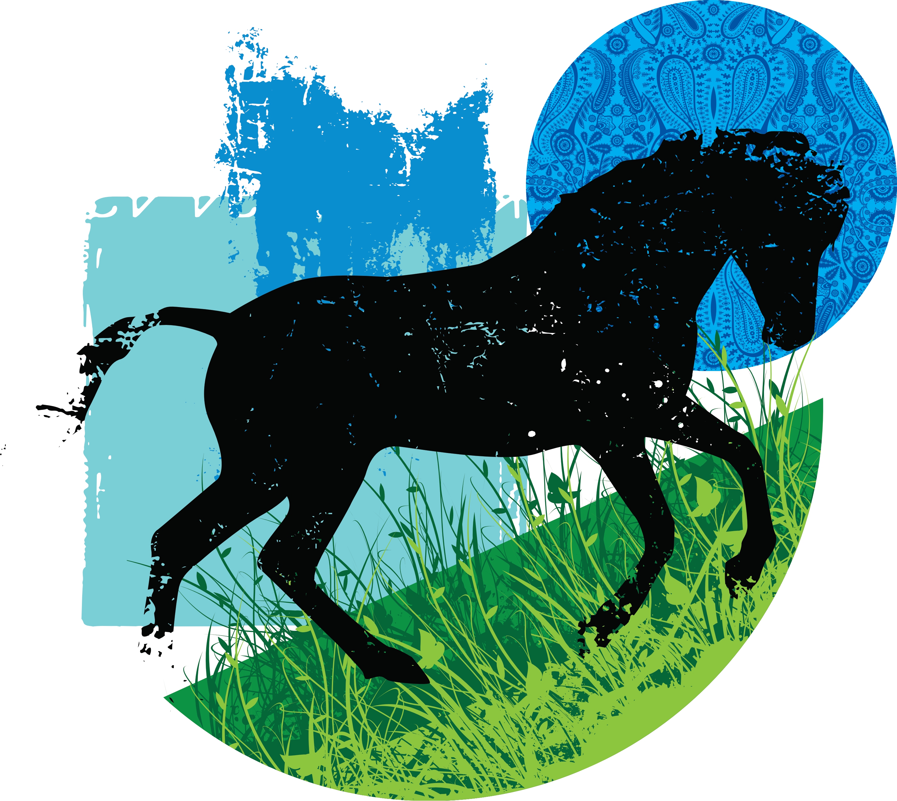 wild horse vector