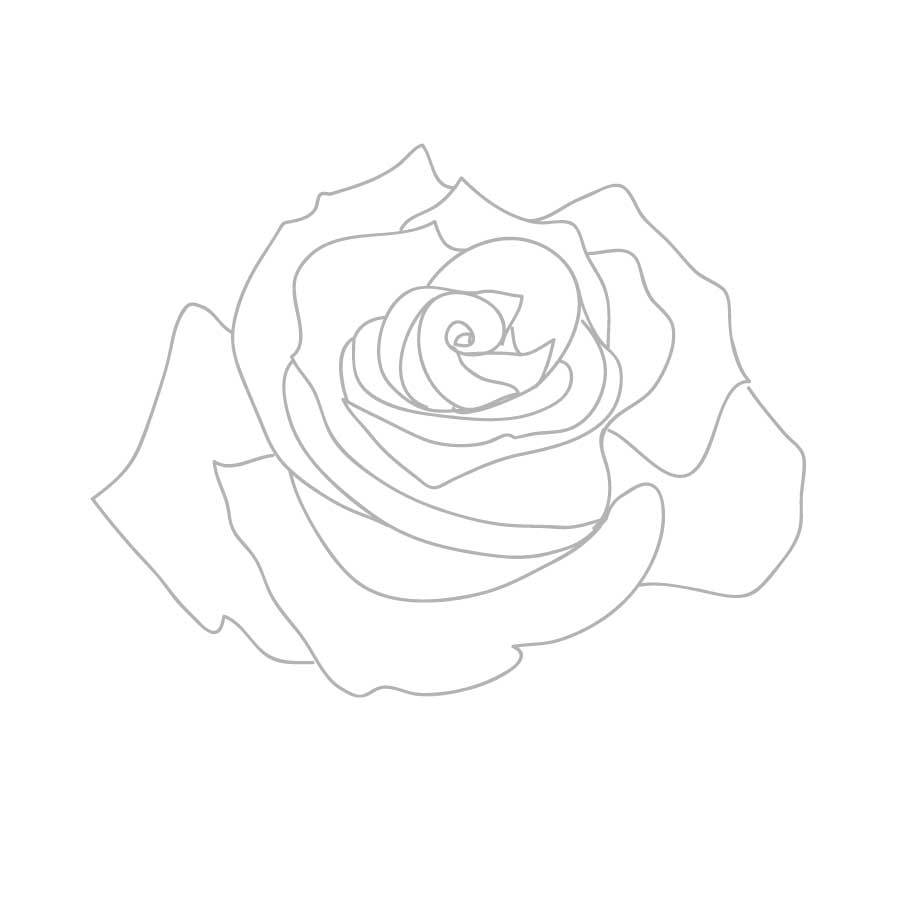 rose outline