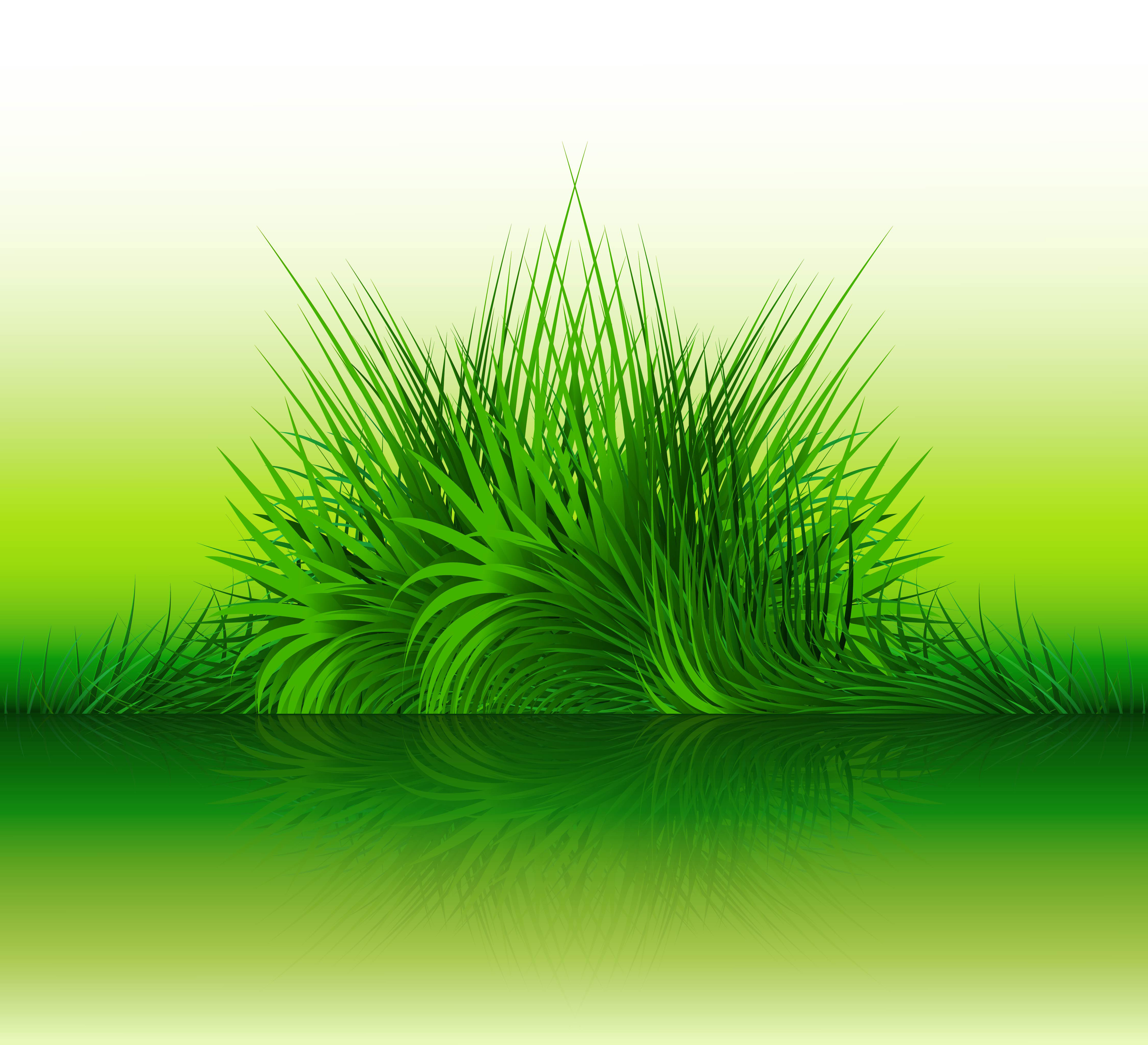 abstract green grass with reflection vector illustration