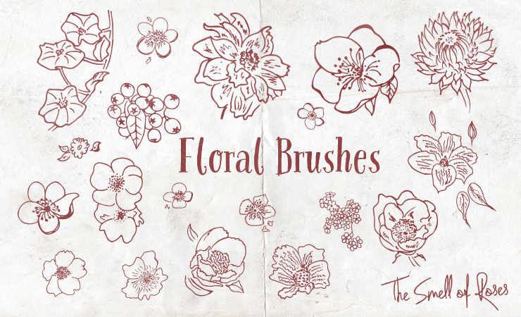 hand drawn flowers