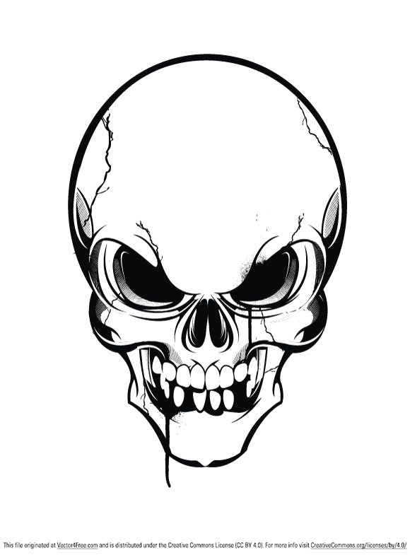 skull vector