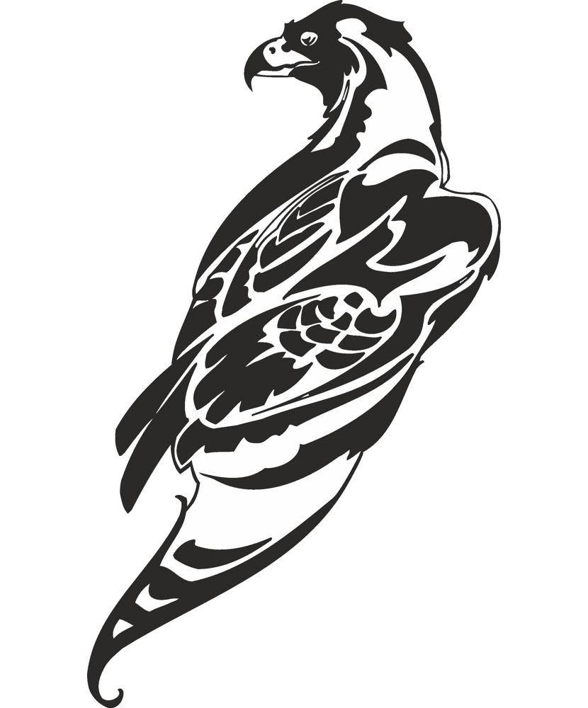 hawk vector art free vector