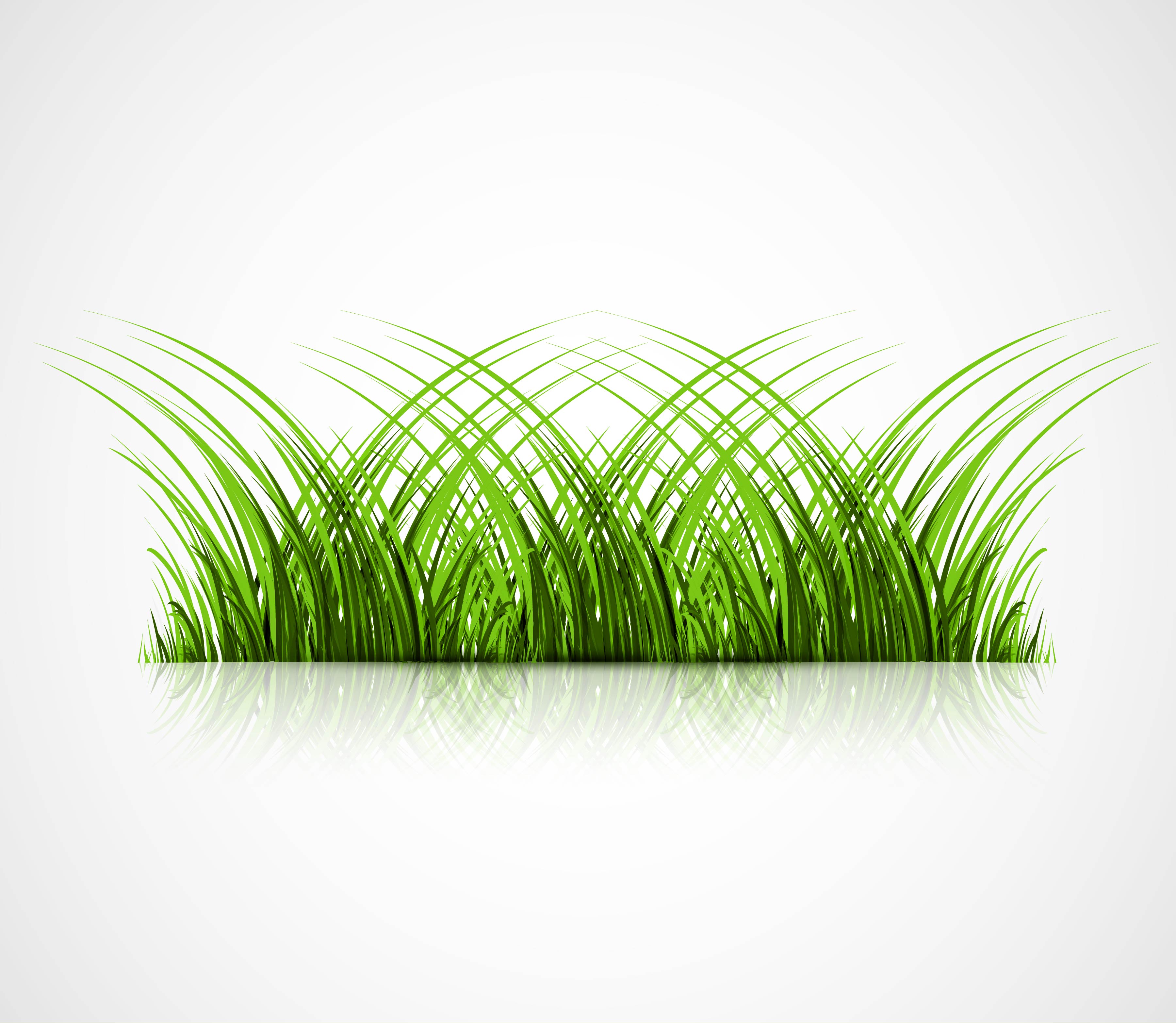 abstract green grass with reflection vector illustration