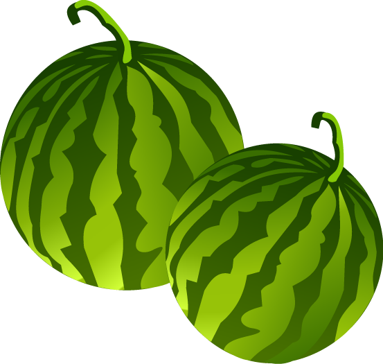 free vector fruit