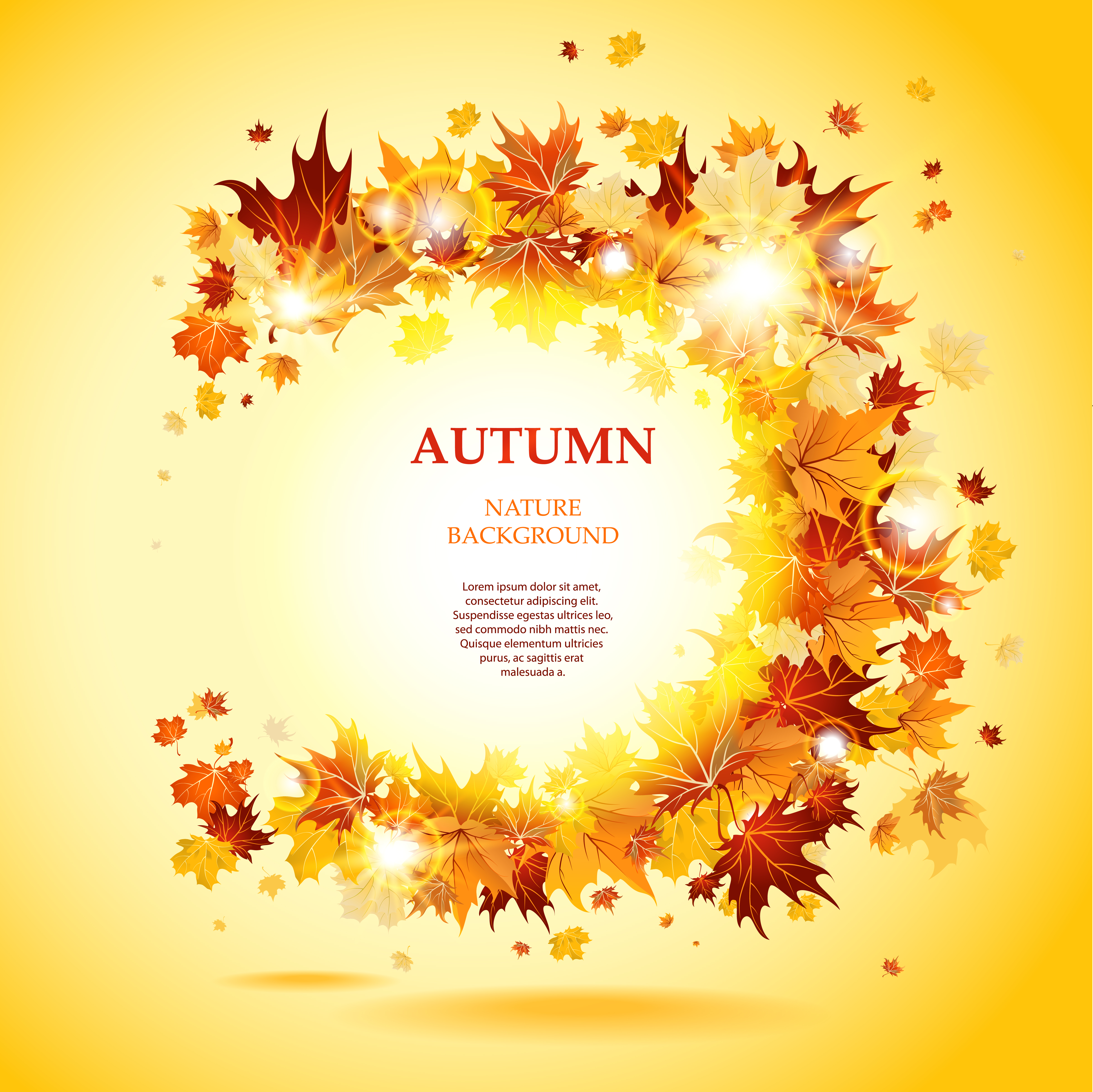 beautiful autumn leaves card 03 vector