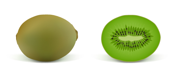 realistic fruit 02 vector