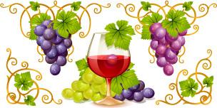 vector juicy grapes design graphic set