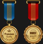 gorgeous medal award vector