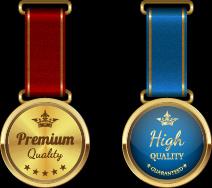 sparkling award medal vector set