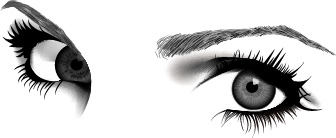 hand drawn beautiful eye vector