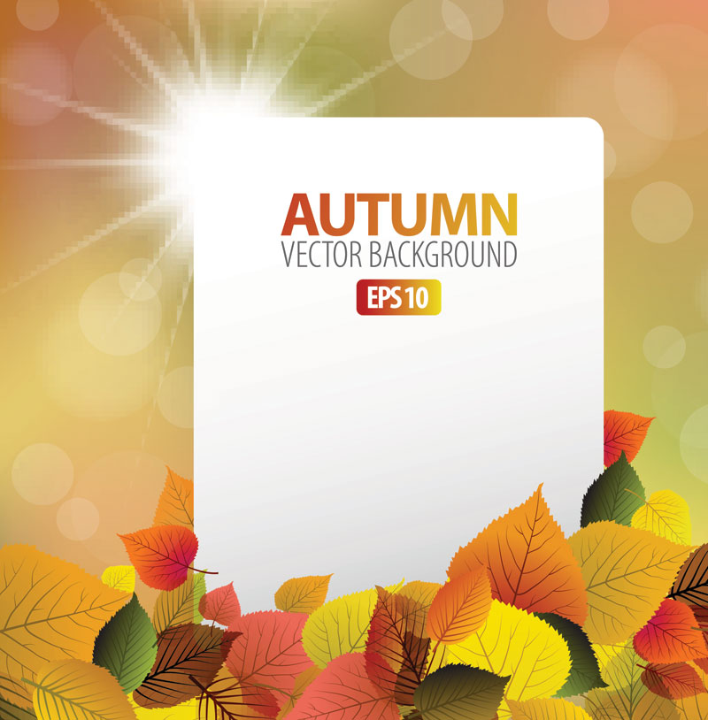 autumn background sparkling bokeh light elegant leaves decor