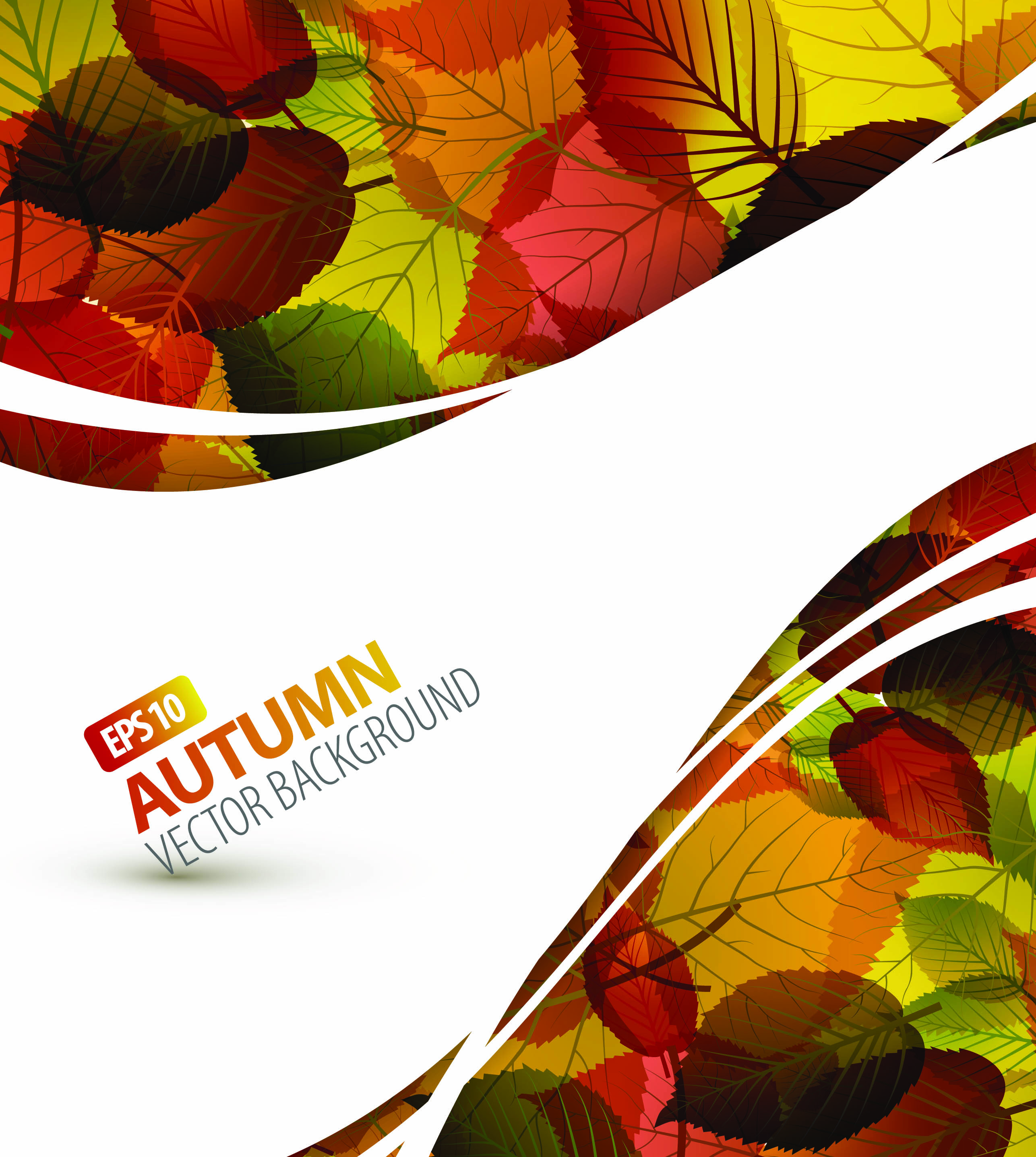 autumn background template elegant classical leaves dynamic curves