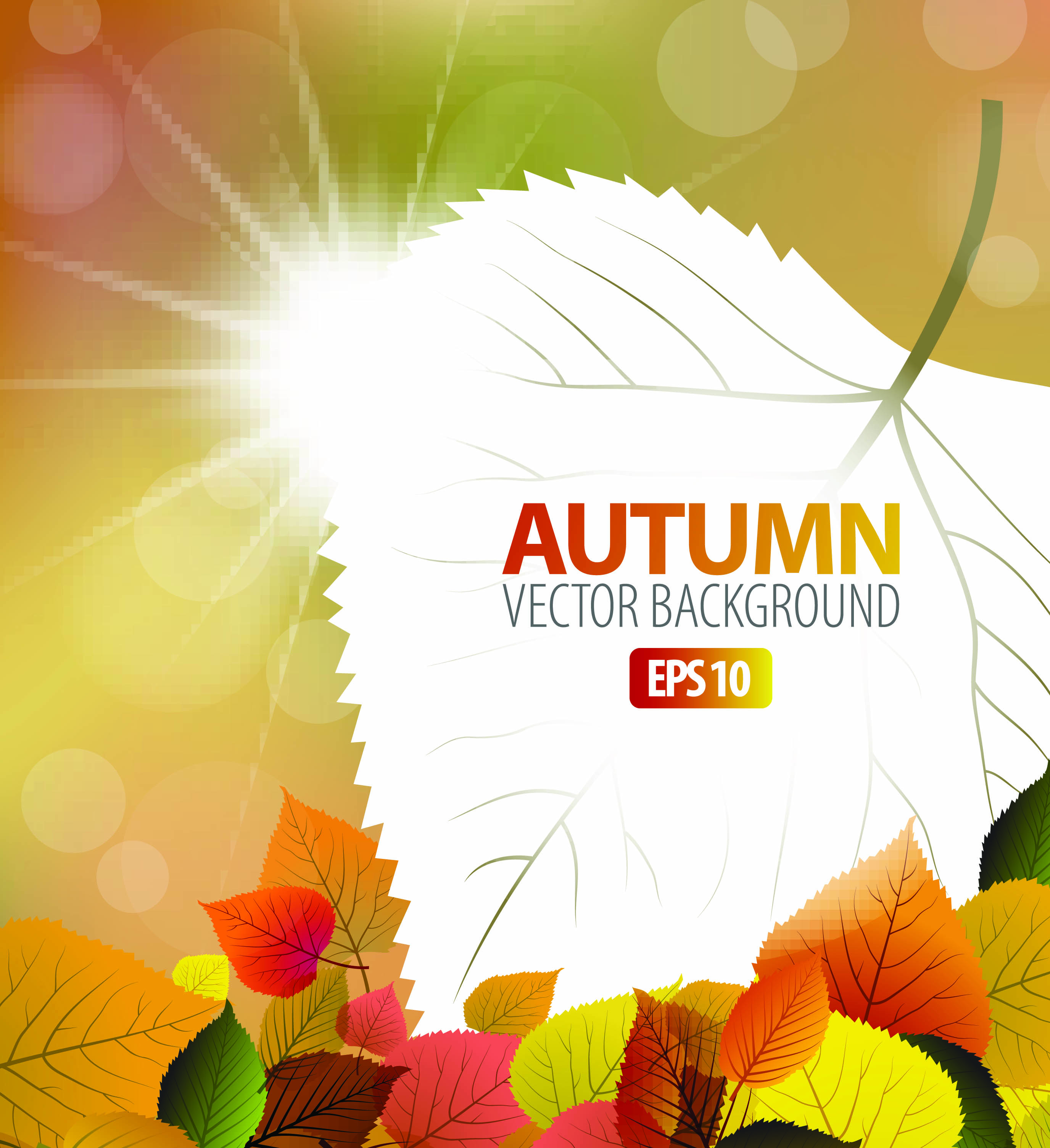 autumn background template sparkling bokeh light leaves decor