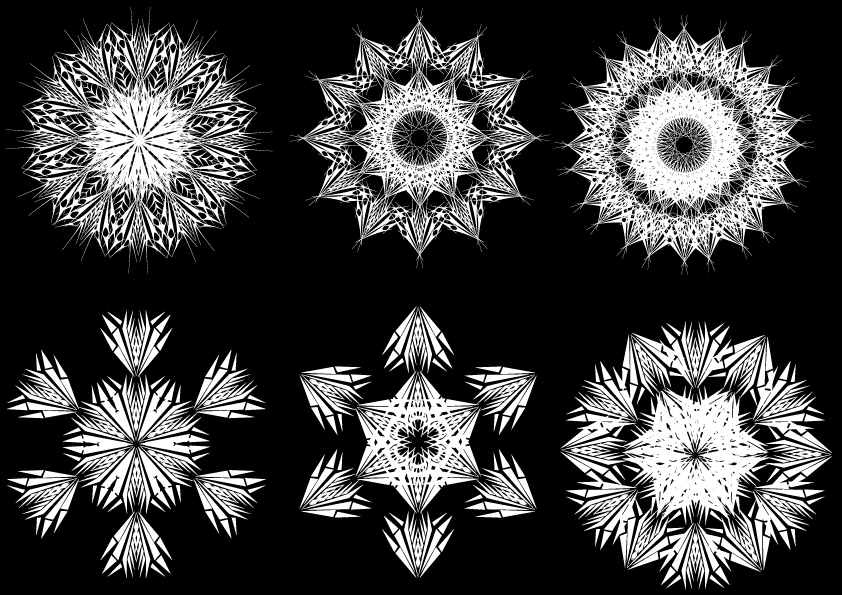 kaleidoscope elements black white symmetrical floral shapes