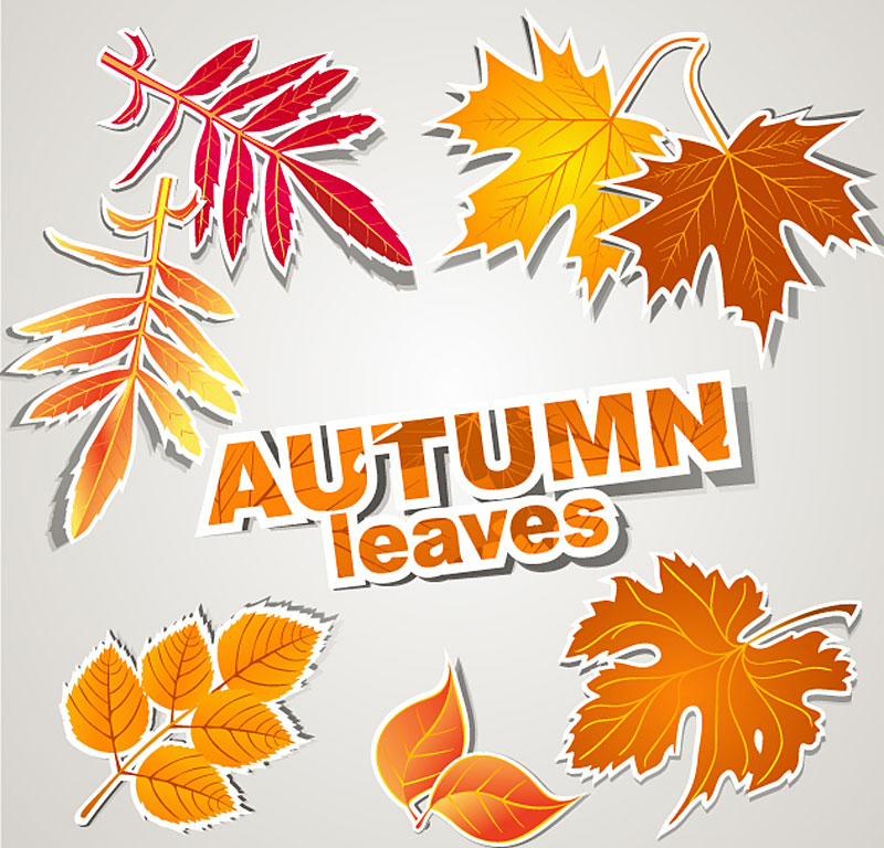 autumn leaves icons flat paper cut sketch