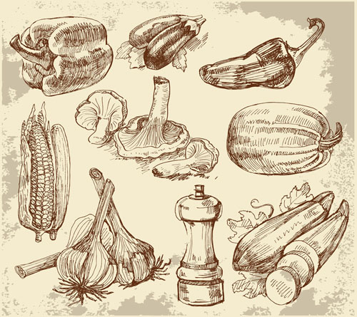 cooking design elements retro handdrawn sketch