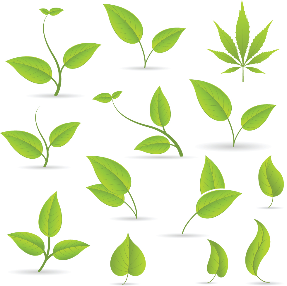 natural leaves icons green elegant shapes sketch