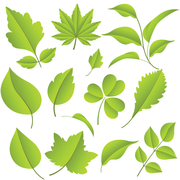 decorative leaf icons shiny modern green shapes sketch