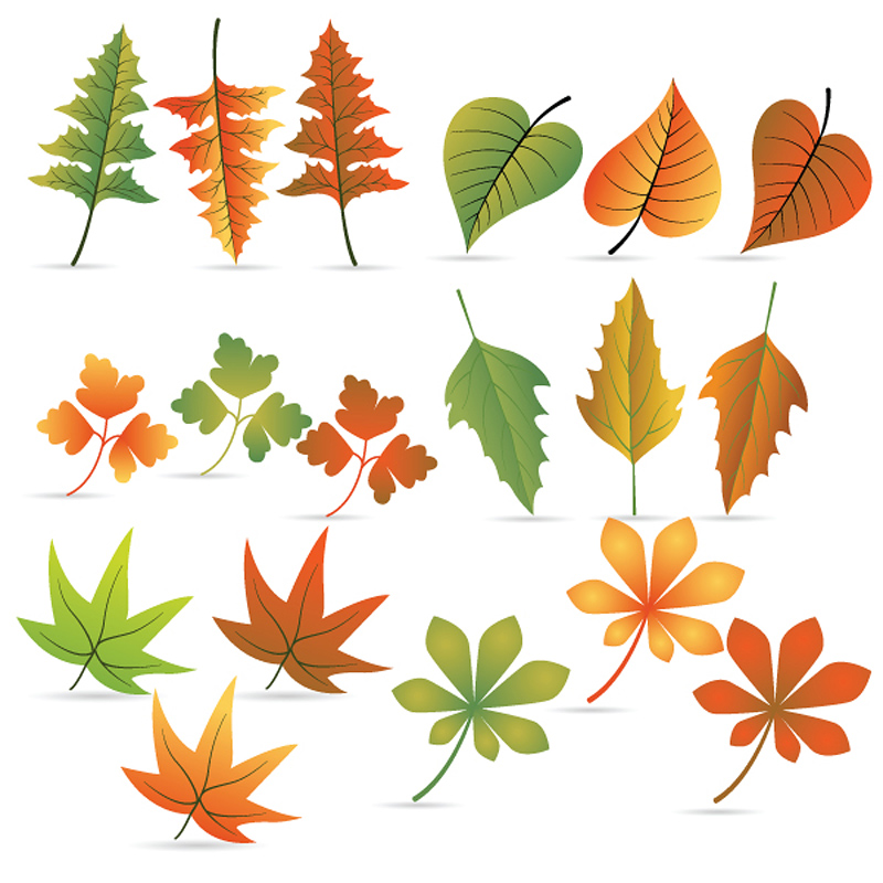 decorative leaf icons colorful modern shapes sketch