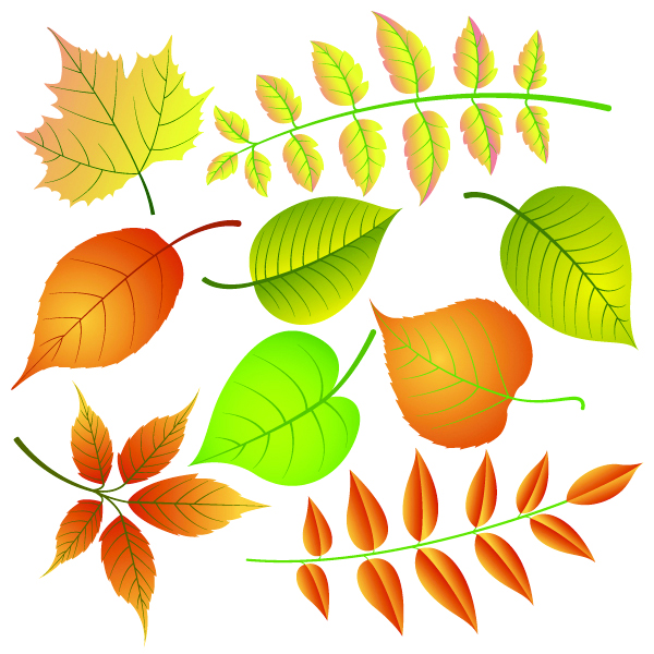 natural leaf icons bright colored modern sketch