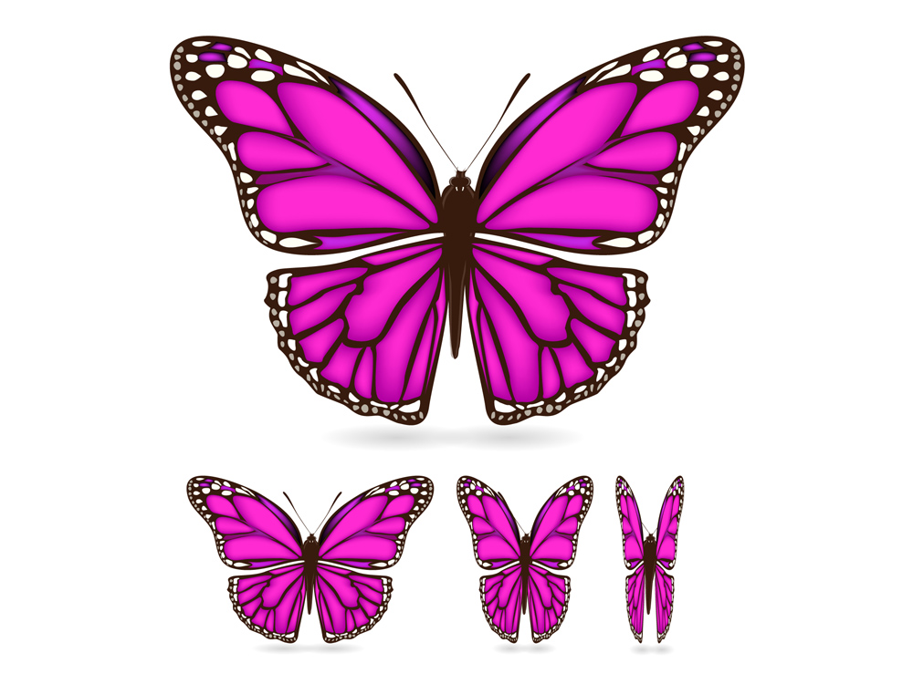 butterfly icons violet decor modern sketch