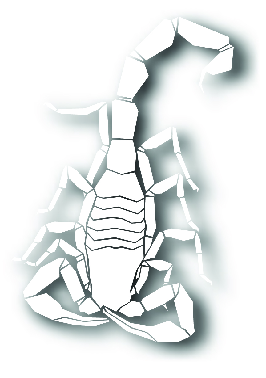 scorpion icon shining bright white silhouette sketch