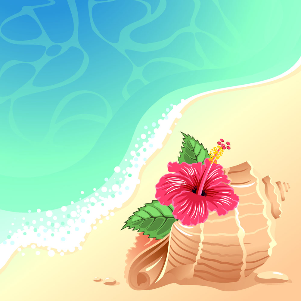 marine background bright colored seaside flora seashell decor