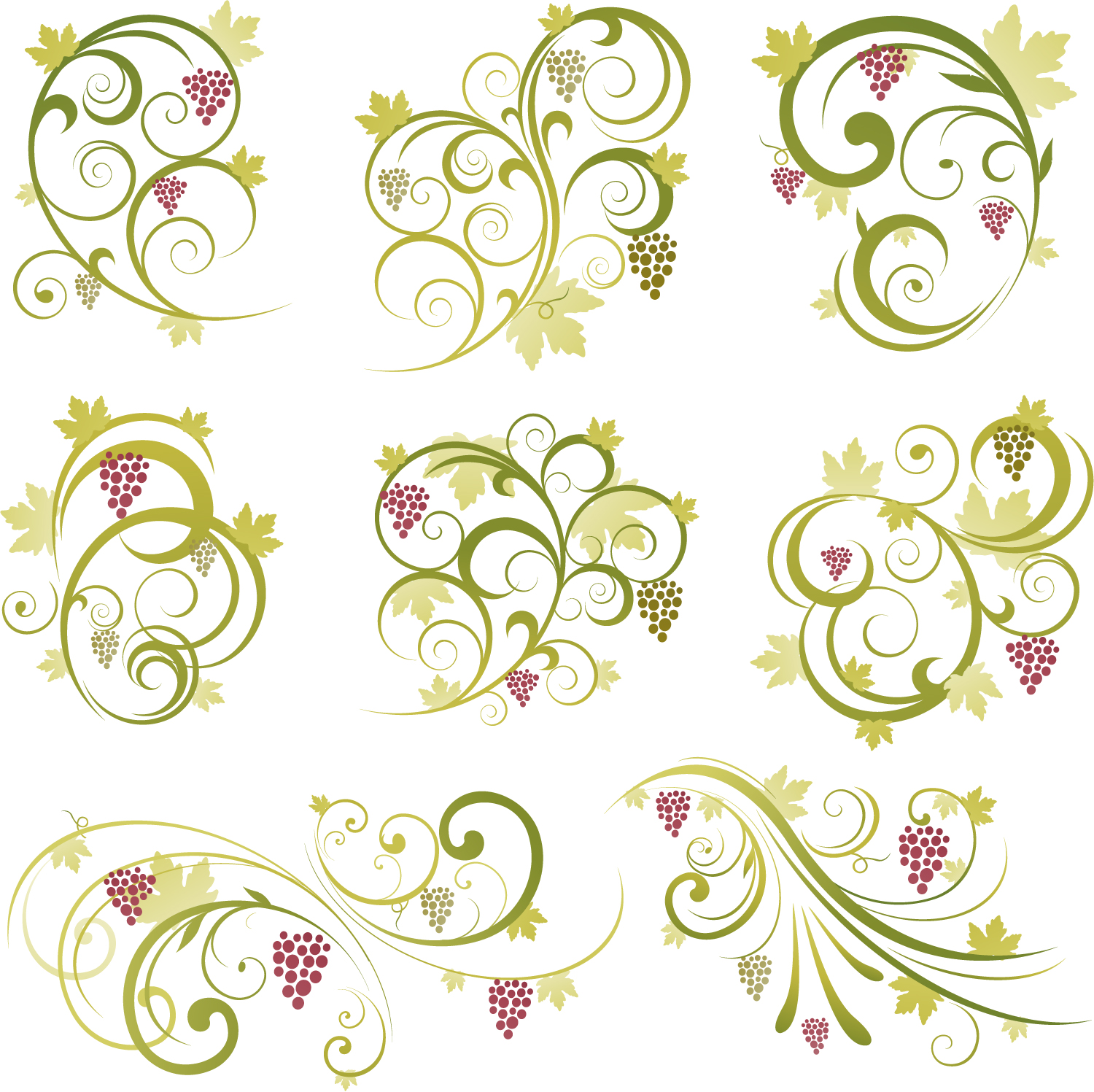 decorative elements templates grapes fruits curves sketch