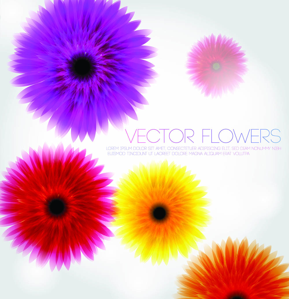 decorative flowers background modern colorful petals sketch