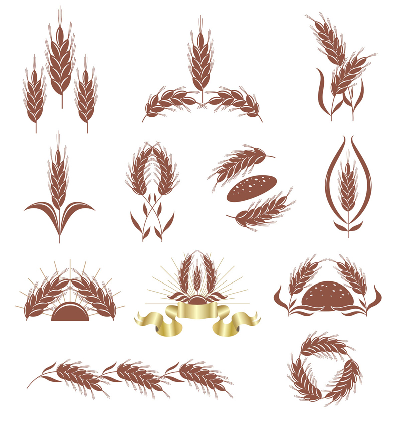wheat logotypes colored classic shapes sketch