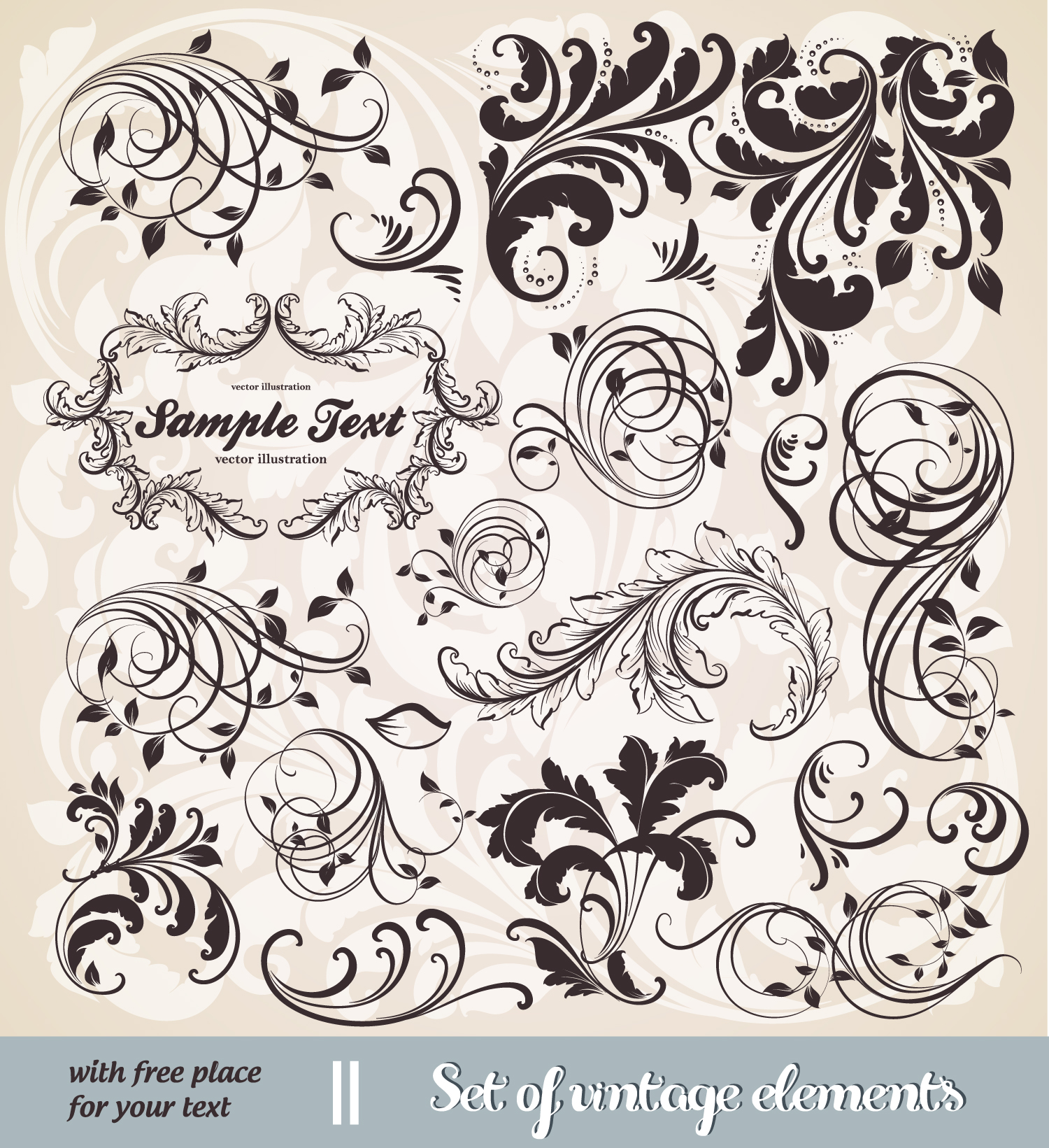 decorative elements templates elegant classical swirled design