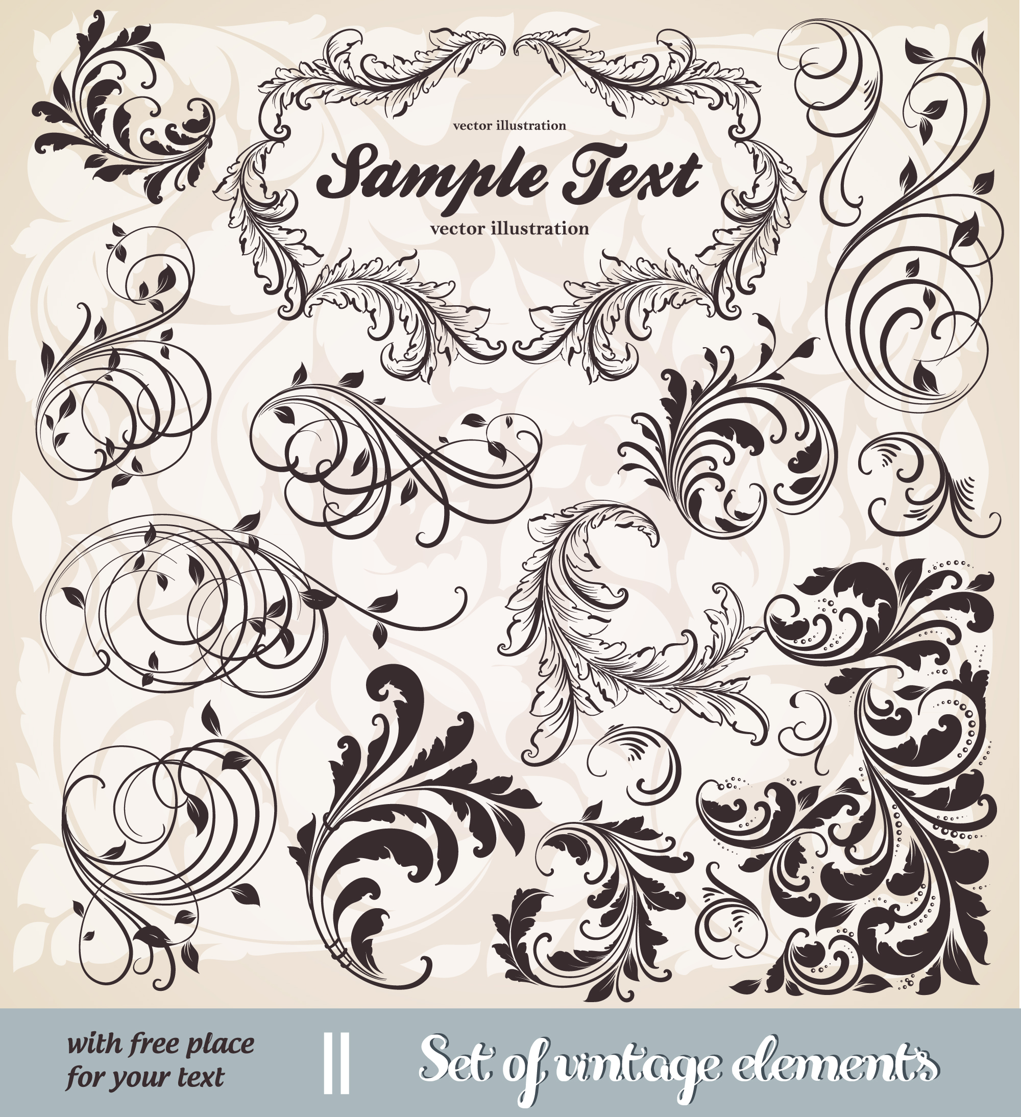 decorative elements templates retro european curved shapes