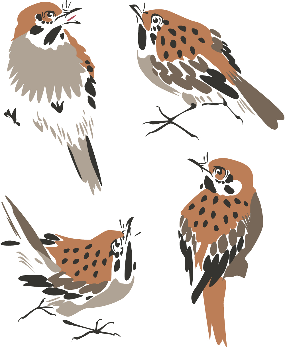 sparrow icons classical flat handdrawn sketch