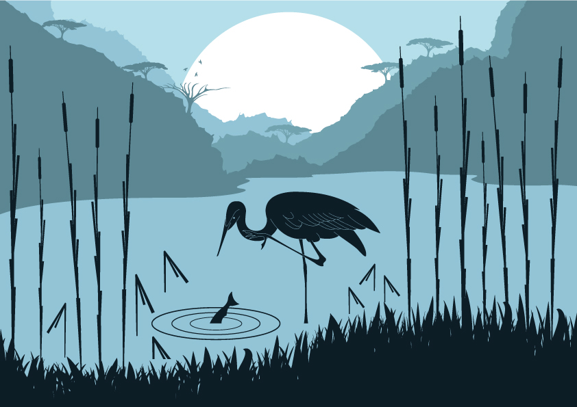 wildlife painting stork pond moonlight sketch cartoon design