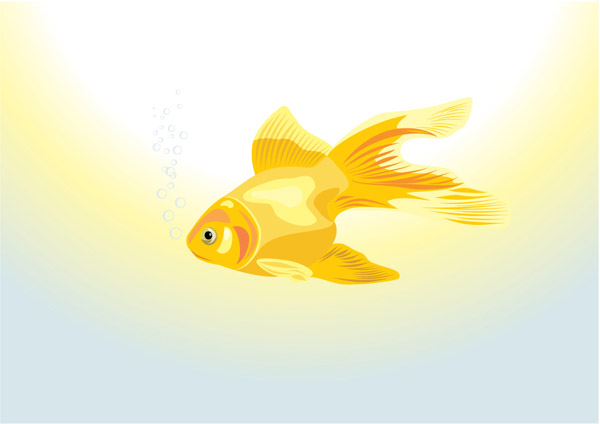 goldfish painting bright colored modern sketch