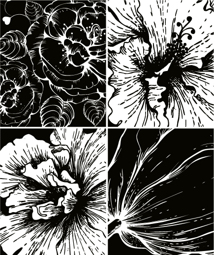 flowers background black white grunge handdrawn closeup design