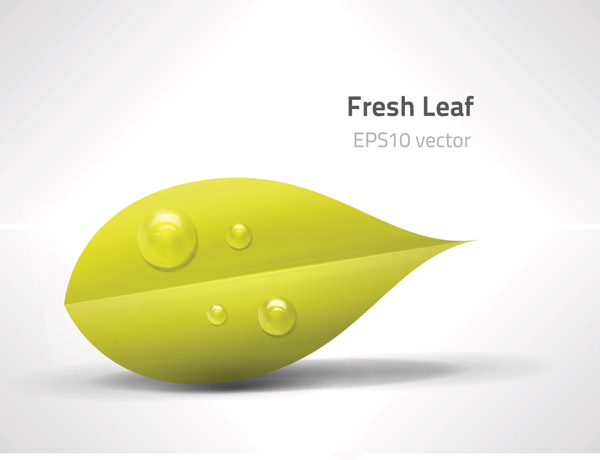 ecology background wet fresh leaf sketch modern design