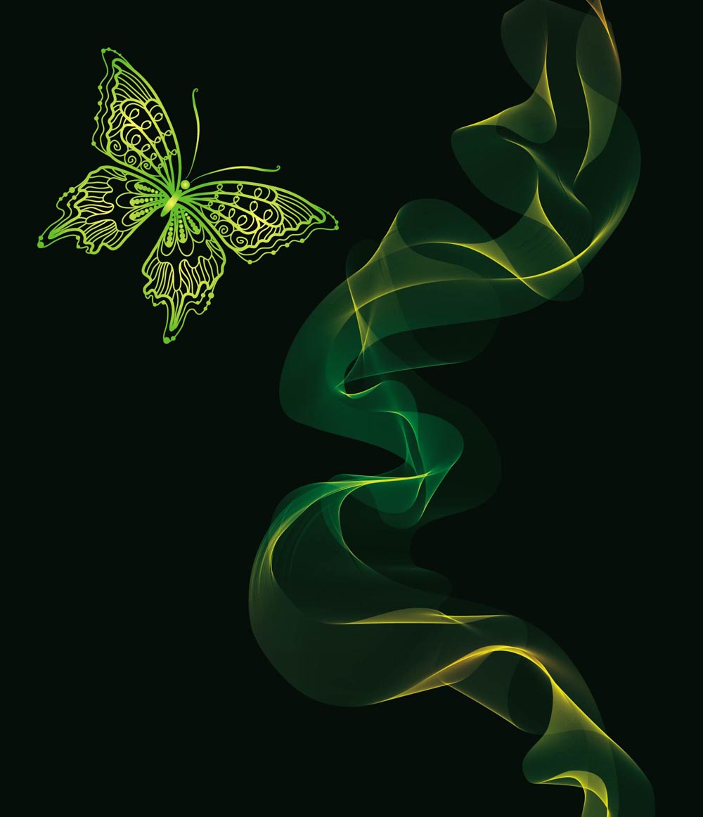 butterfly background 3d smoke decor modern dark green