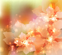 flowers background colorful vivid bokeh lights decor