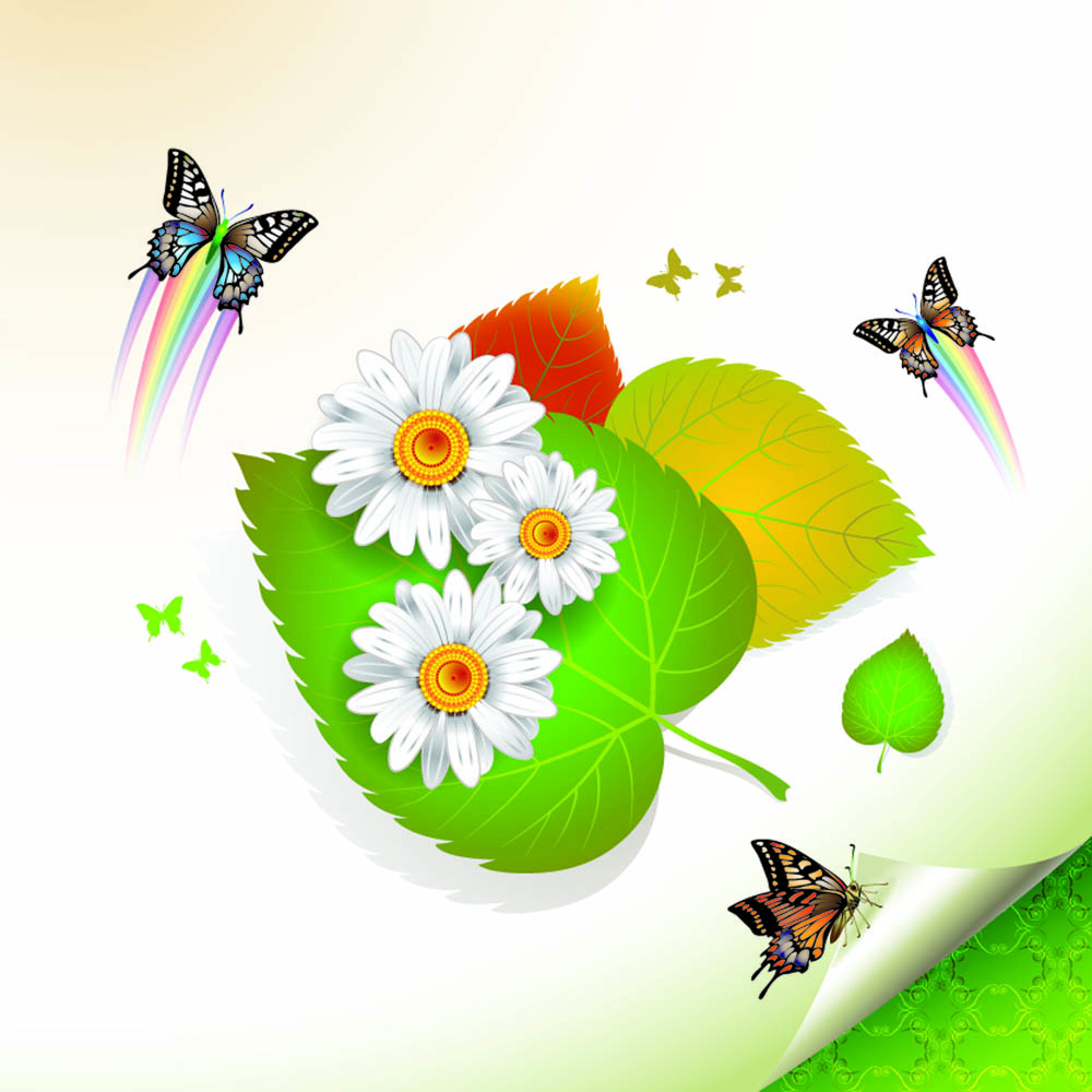 nature background colorful dynamic flowers leaf butterflies decor