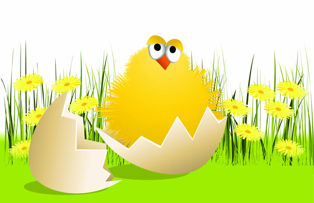 hatched chick background cute colorful cartoon design