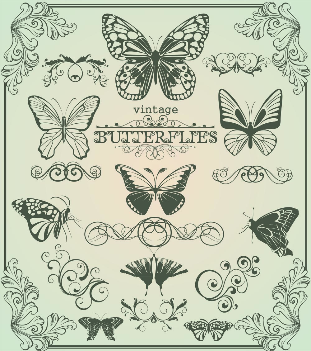 document decorative elements retro butterflies sketch symmetric shapes