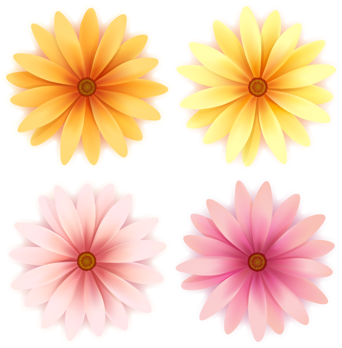 daisy petals icons modern bright colored sketch