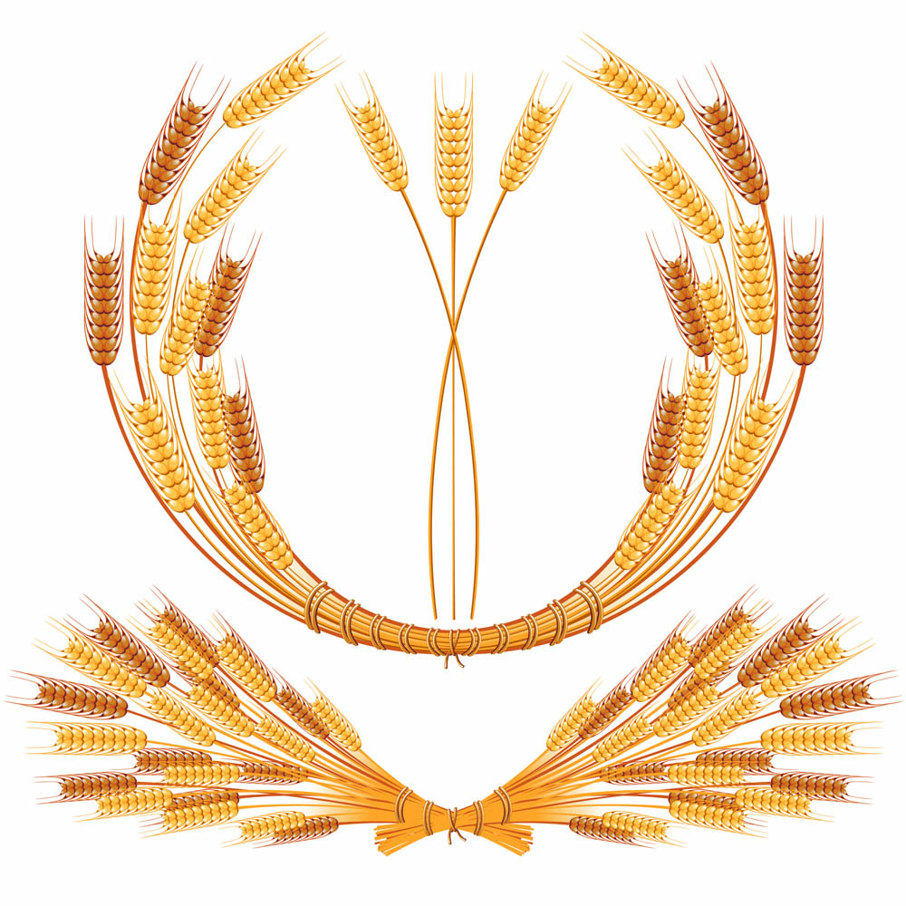 wheat wreath template bright shiny yellow design