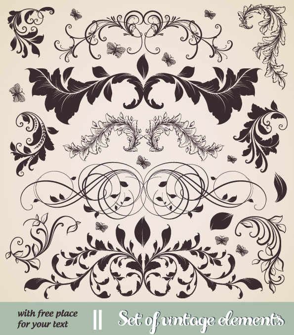 vintage design elements symmetric curved leaves sketch