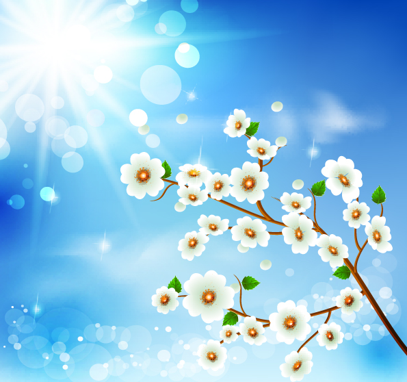 spring background blooming flora sunlight decor modern design