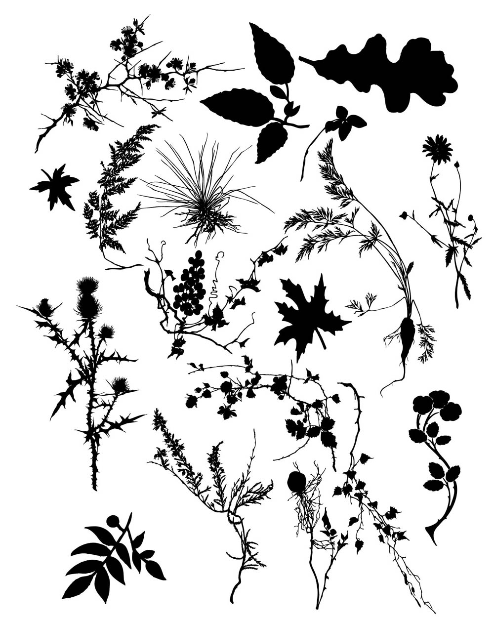 plants icons black white leaf branch sketch